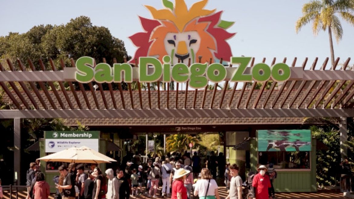 two-giant-pandas-from-china-to-arrive-at-san-diego-zoo-under-conservation-partnership