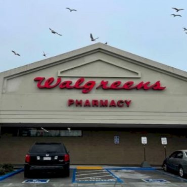 walgreens-to-close-‘significant’-number-of-struggling-us-stores,-ceo-says