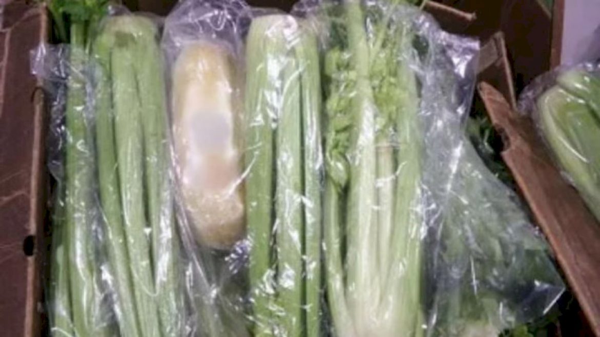 over-600-pounds-of-methamphetamine-found-inside-celery-shipment