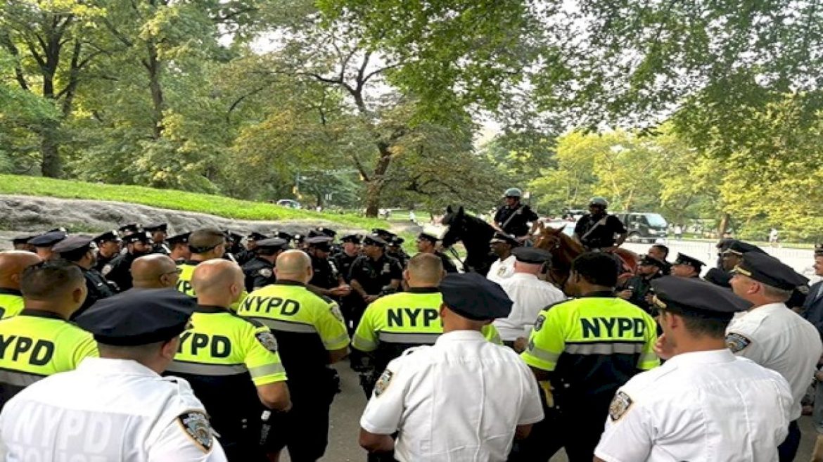 largest-us-police-force-is-using-drones-to-curb-a-central-park-crime-spree