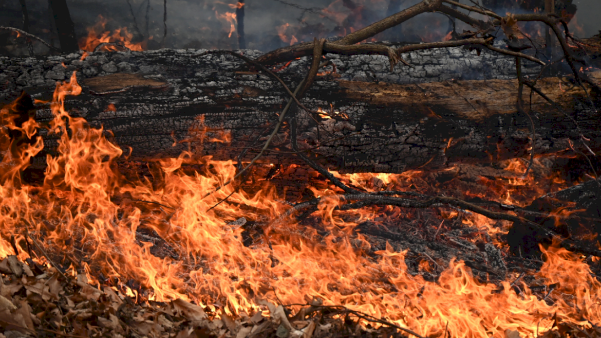 jennings-creek-wildfire-explodes-to-5,000-acres,-delays-one-of-nation’s-oldest-veterans-day-parades