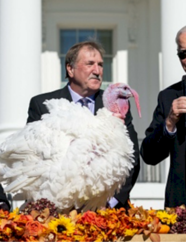 biden-pardons-‘peach’-and-‘blossom’-in-white-house-thanksgiving-turkey-tradition