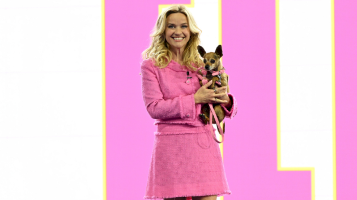 reese-witherspoon-was-jury-foreman-because-of-‘legally-blonde’:-‘i-played-a-lawyer-in-a-movie-once’