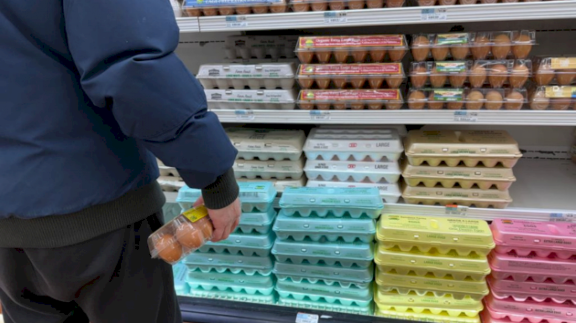 egg-prices-predicted-to-soar-more-than-41%-in-2025:-usda