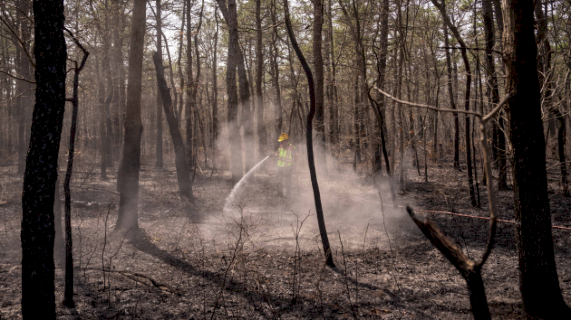 new-jersey-wildfire:-strong-winds-complicate-firefighters’-efforts