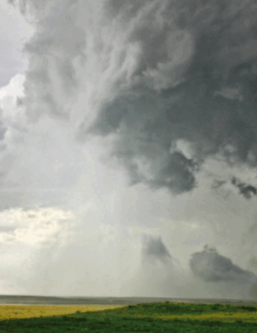 at-least-23-dead-as-storms-batter-states-from-the-heartland-to-the-east-coast