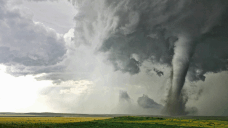 at-least-23-dead-as-storms-batter-states-from-the-heartland-to-the-east-coast