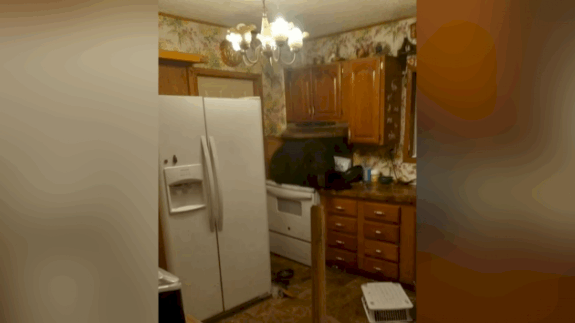 black-bear-found-sitting-on-stove-inside-home-after-crashing-through-ceiling