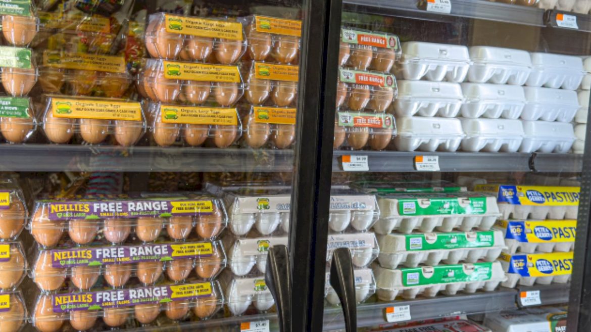 over-1.7-million-eggs-sold-in-9-states-voluntarily-recalled-due-to-salmonella-concern