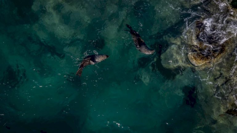 the-ocean-is-changing-colors,-researchers-say-here’s-what-it-means.
