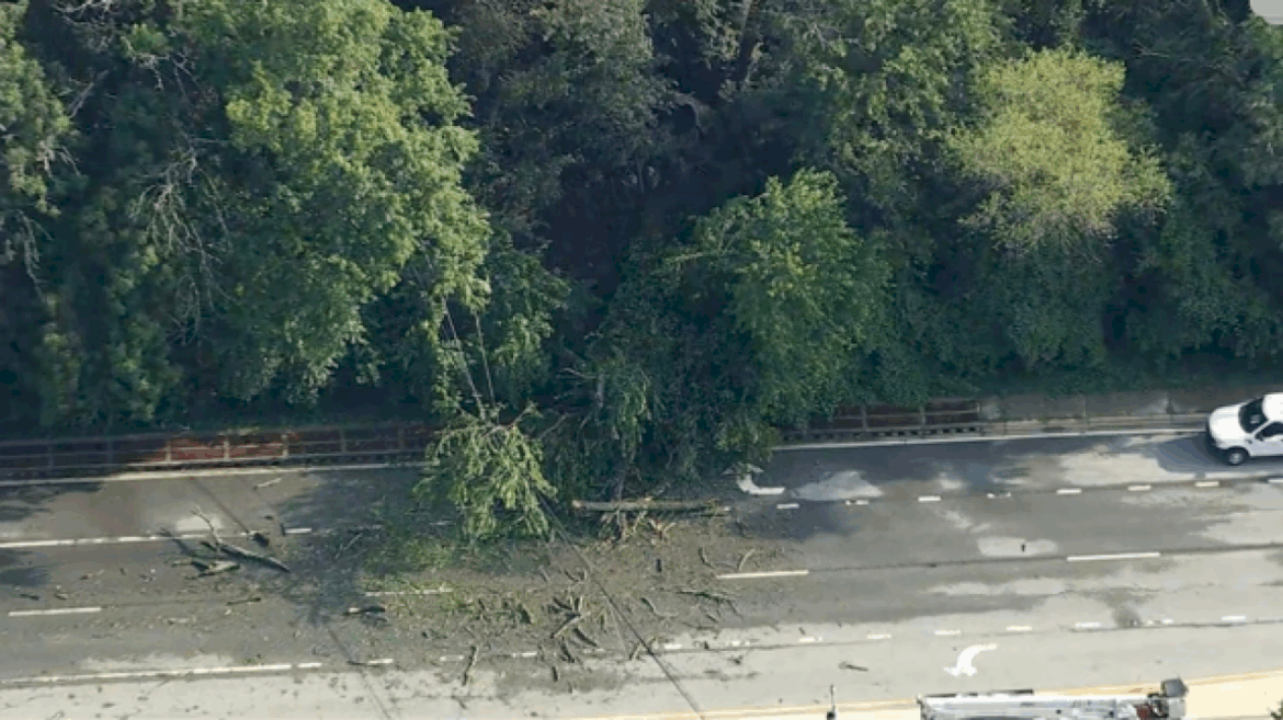 woman-killed-when-tree-falls-on-car-in-delaware-as-east-coast-storms-intensify