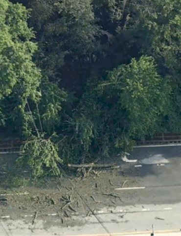 woman-killed-when-tree-falls-on-car-in-delaware-as-east-coast-storms-intensify