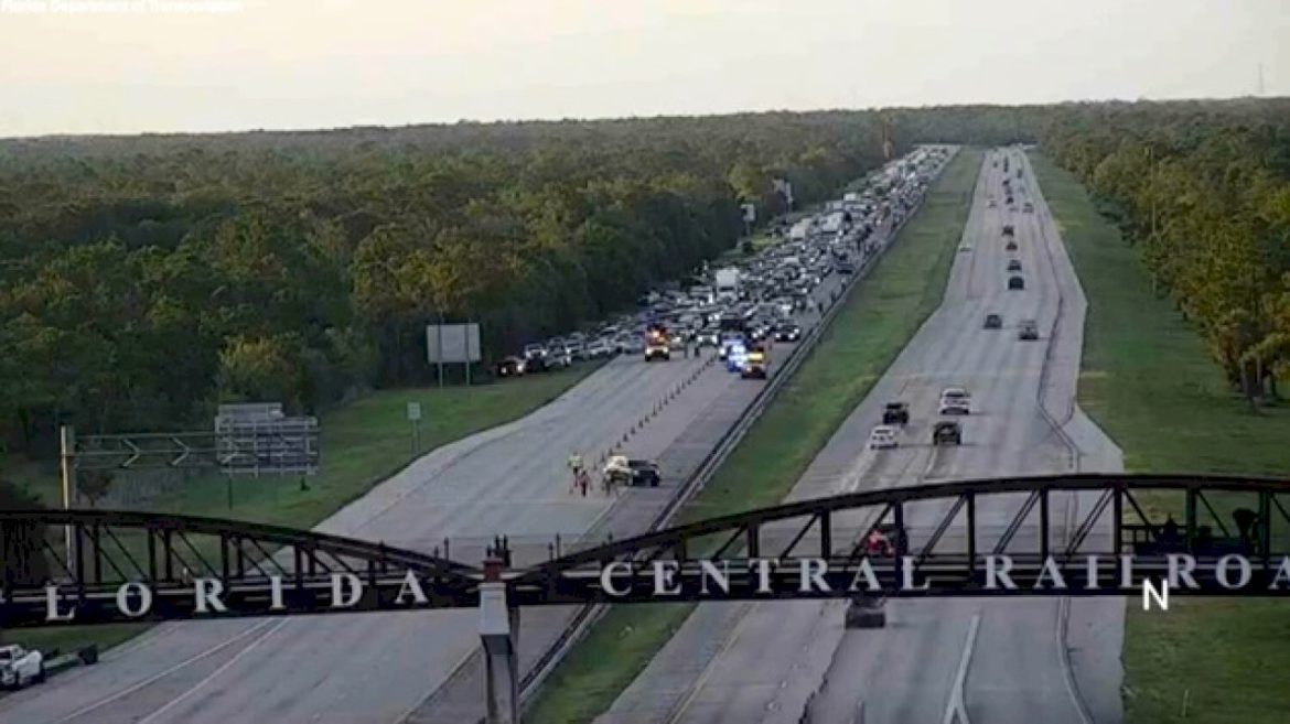 man-killed-trying-to-save-turtle-on-florida-interstate
