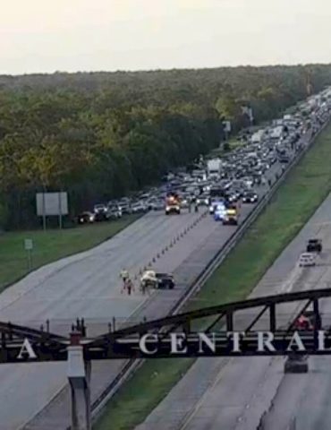 man-killed-trying-to-save-turtle-on-florida-interstate