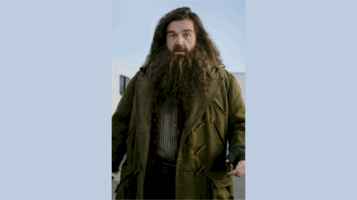 hbo-shares-first-look-at-nick-frost-as-hagrid-in-‘harry-potter’-series