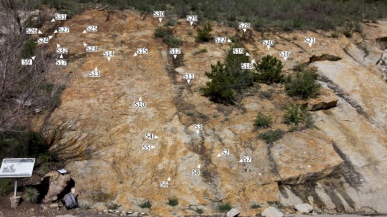 large-dinosaur-mating-‘dance-arena’-discovered-in-colorado