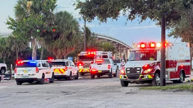 woman-attacked-by-alligator-while-swimming-with-dog,-boyfriend:-sheriff