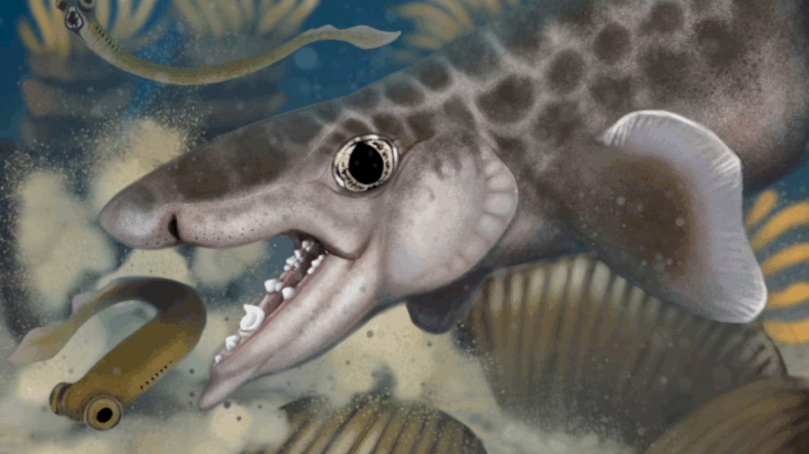 new-species-of-ancient-shark-discovered-at-mammoth-cave-national-park