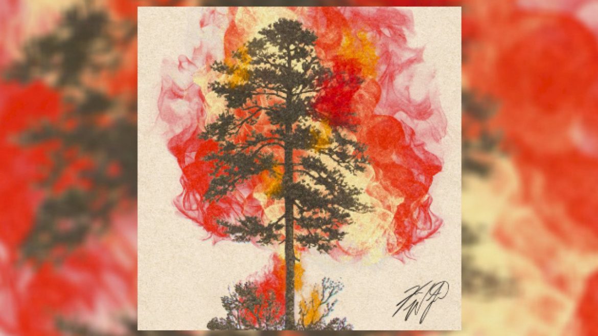 new-music-&-a-new-way-to-help:-koe-wetzel’s-‘surrounded’-+-stronger-together-benefit