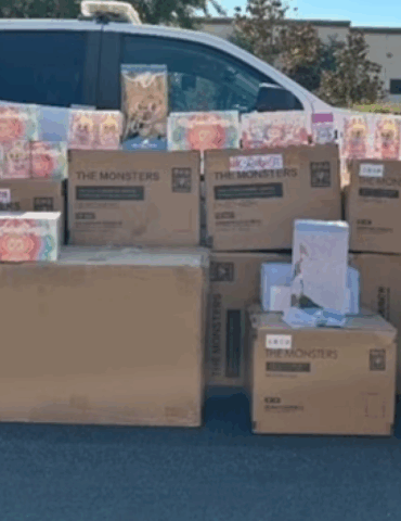 $30,000-of-stolen-labubus-recovered-in-major-california-bust