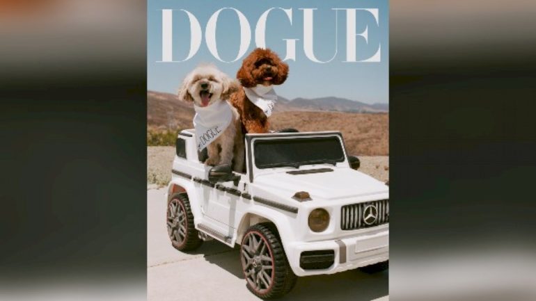 sabrina-carpenter’s-pups-make-the-cover-of-‘vogue,’-er,-‘dogue’