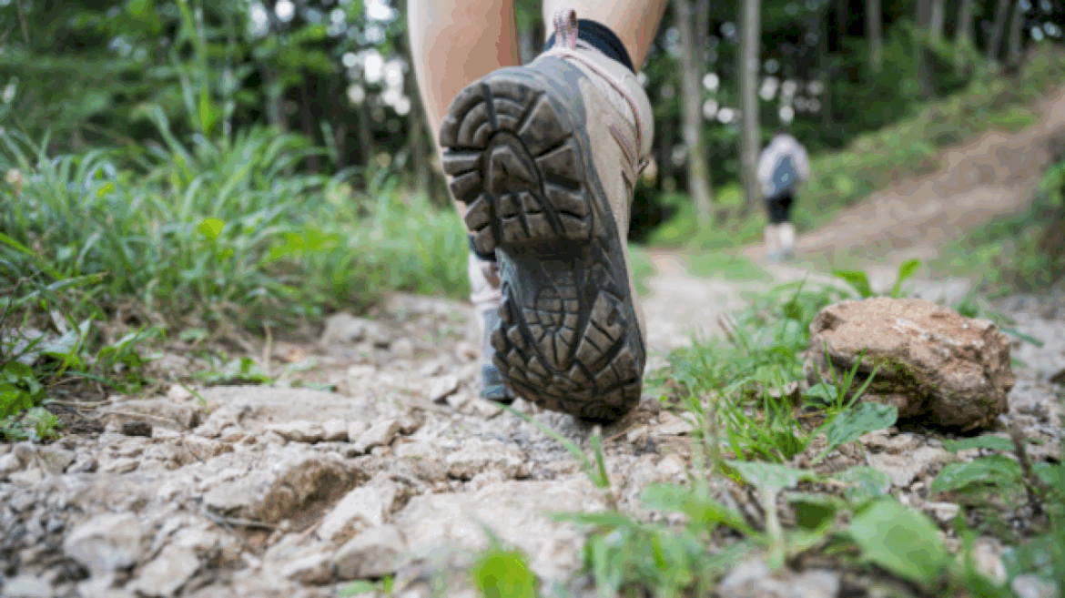 amid-string-of-missing-hikers,-how-can-you-stay-safe-while-on-the-trails?-an-expert-weighs-in