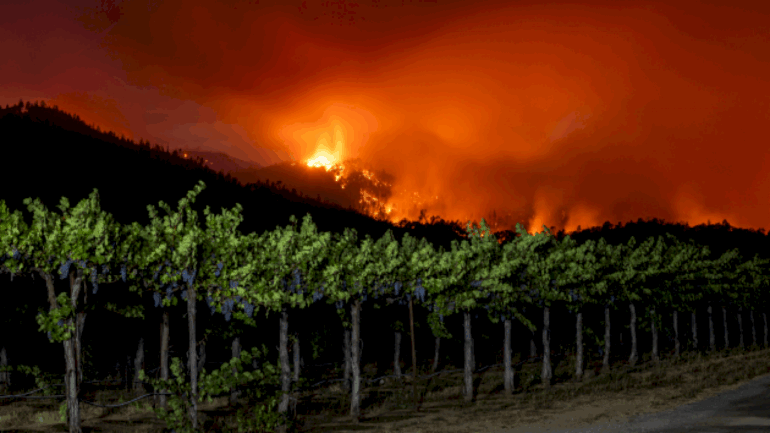california-wine-country-wildfire-surpasses-6,500-acres,-mandatory-evacuations-ordered