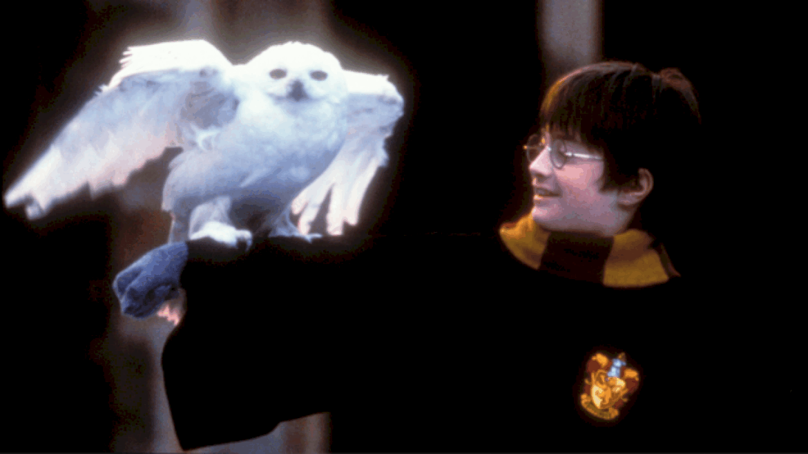 ‘harry-potter’-director-chris-columbus-does-not-want-to-be-involved-in-upcoming-hbo-series