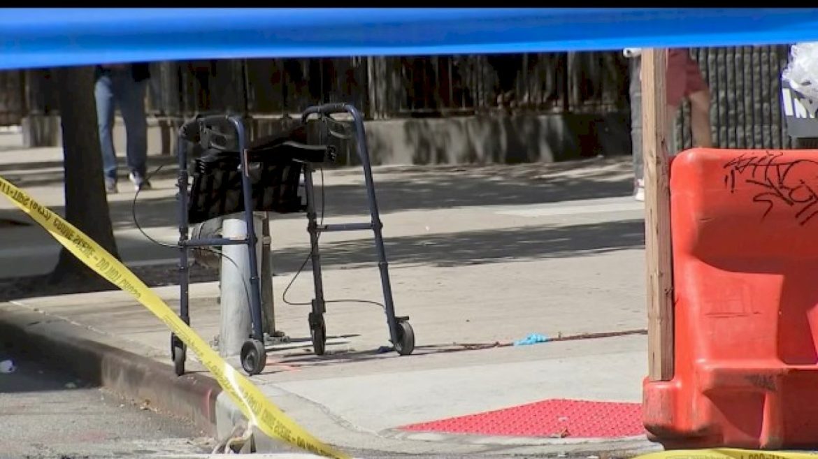 woman-69,-fatally-shot-in-face-on-new-york-city-street:-police