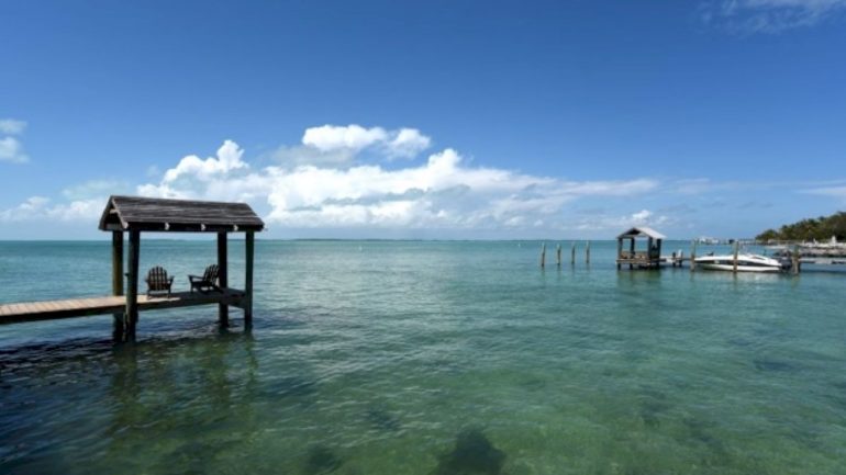shark-bites-8-year-old-boy-in-florida-keys,-prompts-airlift-to-miami-hospital:-sheriff