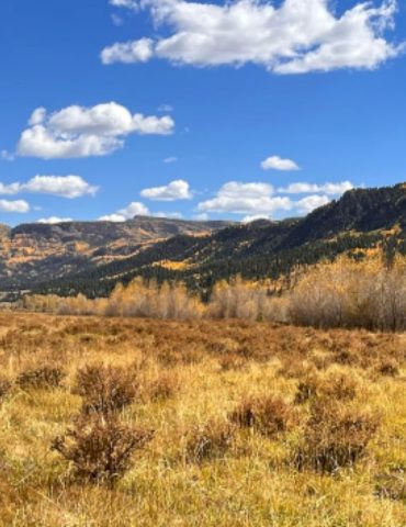 search-underway-for-elk-hunters-missing-near-colorado-new-mexico-border