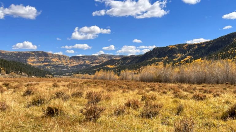 search-underway-for-elk-hunters-missing-near-colorado-new-mexico-border
