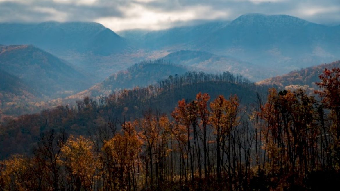 21-year-old-man-found-dead-after-going-missing-in-great-smoky-mountains:-nps