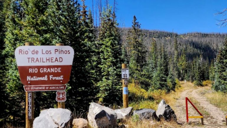 missing-elk-hunters-were-killed-by-lightning-that-struck-nearby-tree:-official