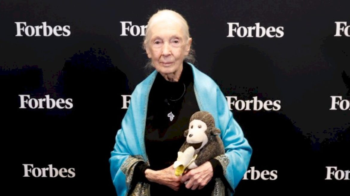 jane-goodall,-famed-primatologist,-anthropologist-and-conservationist,-dead-at-91