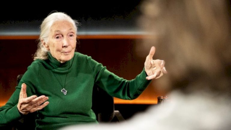 netflix-releases-‘famous-last-words’-episode-featuring-the-late-jane-goodall