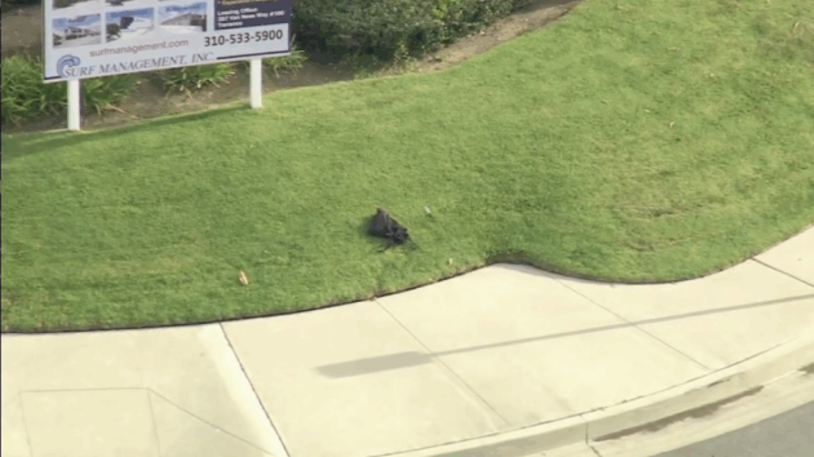 former-student-stabs-3-staff-members,-plants-2-pipe-bombs-in-california-attack:-police