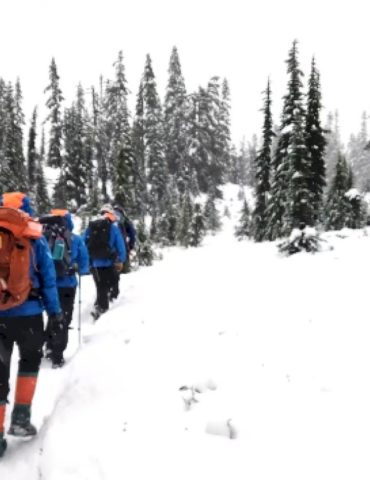 washington-rescuers-climb-through-5-miles-of-snow-to-save-stranded-hikers:-sheriff
