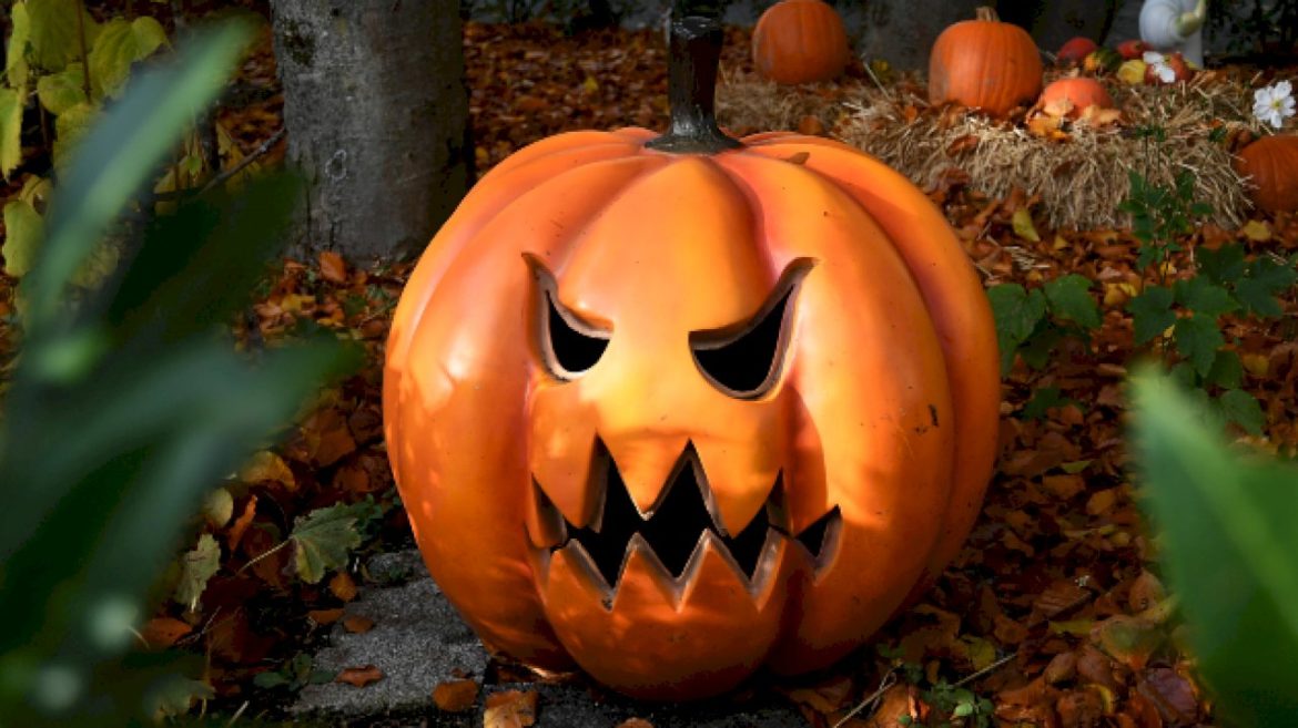 rascal-flatts’-jay-demarcus-loves-a-family-costume;-brantley-gilbert-does-not