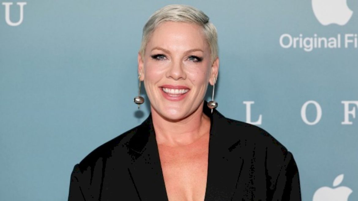 pink-receives-humanitarian-award-for-work-fighting-hunger