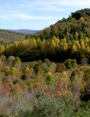 search-for-missing-miner-in-flooded-west-virginia-coal-mine-enters-4th-day
