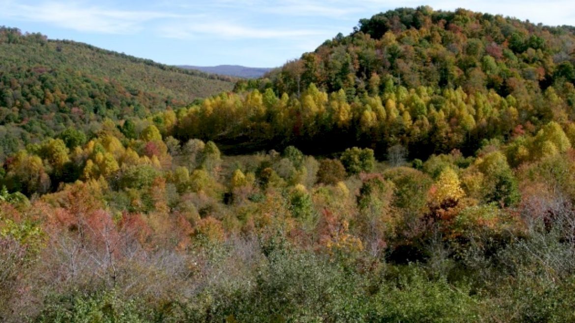 missing-west-virginia-coal-miner-found-dead-after-nearly-week-trapped-underground:-governor
