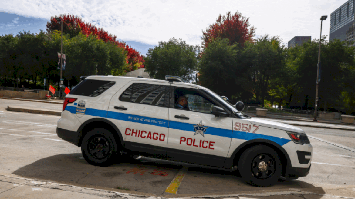 woman-set-on-fire-on-chicago-l-train,-person-of-interest-in-custody:-police