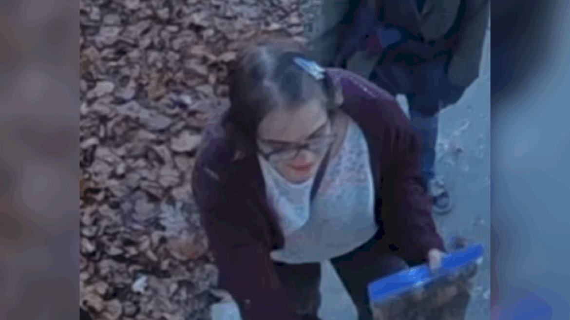 just-google’-me:-‘slender-man’-stabbing-assailant-morgan-geyser-allegedly-told-cops-who-caught-her