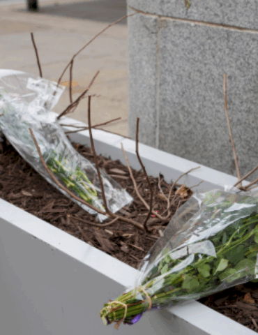 1-of-2-national-guard-members-wounded-in-‘targeted-shooting’-has-died,-trump-says