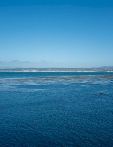 body-discovered-after-swimmer-went-missing-in-possible-shark-attack-in-california