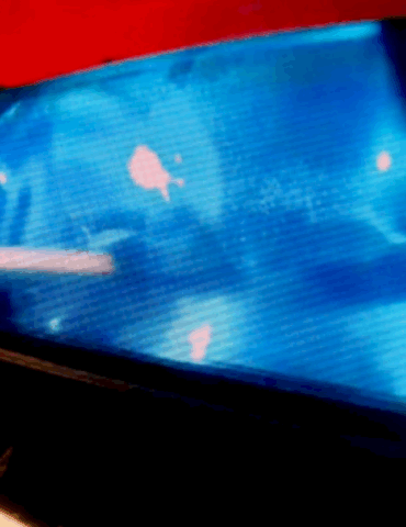 new-video-may-show-texas-teenage-girl-who’s-been-missing-since-christmas-eve:-sheriff