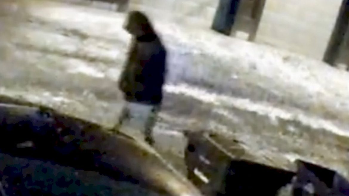 new-video-released-of-person-of-interest-in-mysterious-murders-of-dentist,-wife