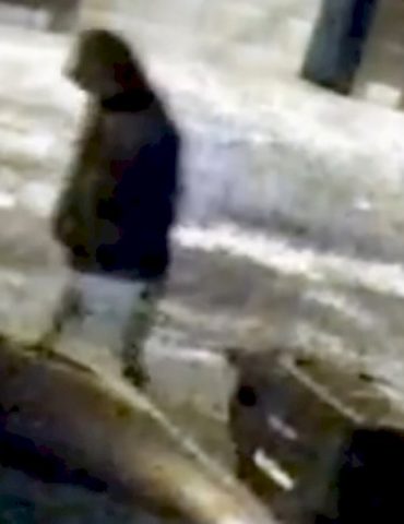 new-video-released-of-person-of-interest-in-mysterious-murders-of-dentist,-wife