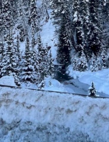 man-dies-after-being-caught-in-avalanche-while-snowmobiling